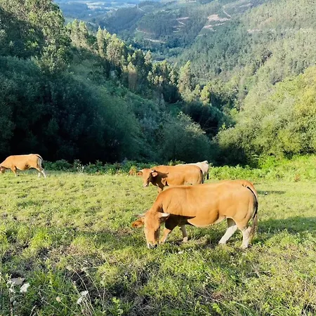 Casa Neto Goje 別荘 San Tirso de Abres