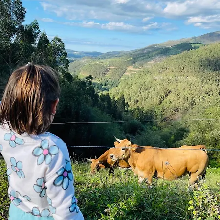 Casa Neto Goje Hébergement de vacances San Tirso de Abres